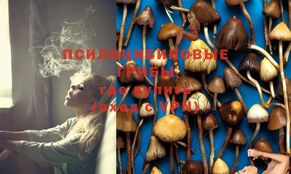 ECSTASY Армянск